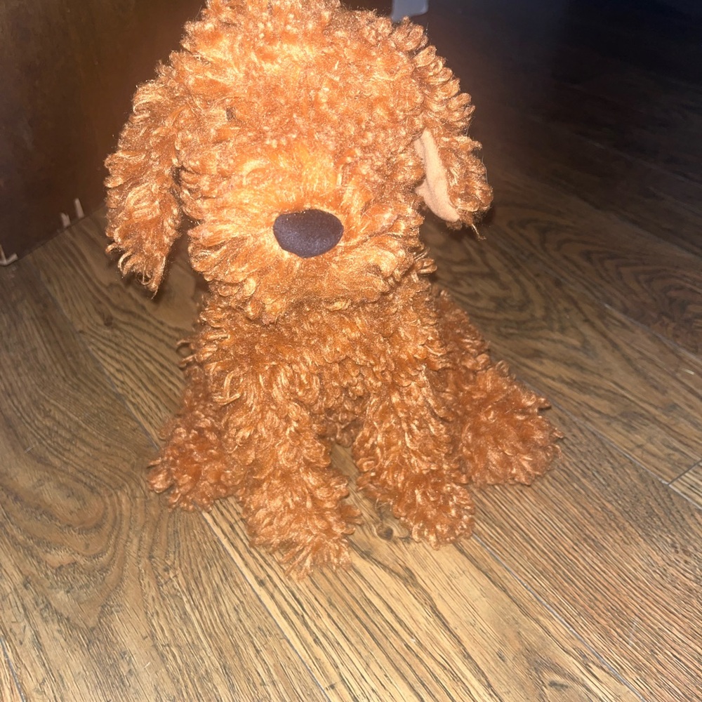 Jellycat Cooper Doodle Dog *New*